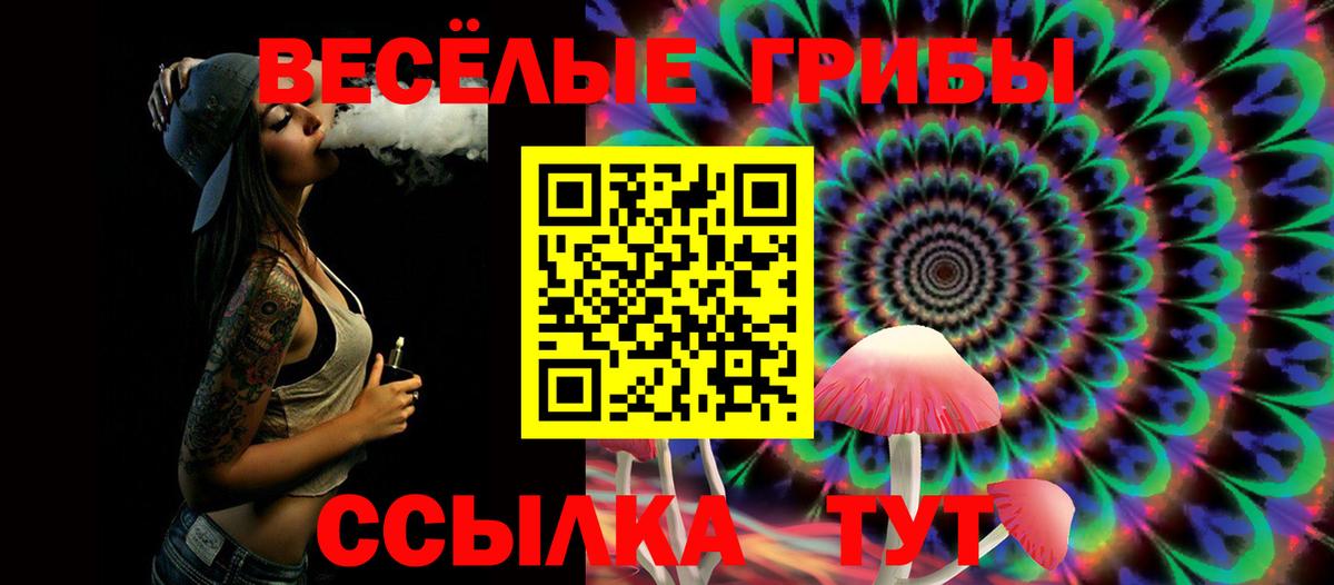 Галлюциногенные грибы Cubensis  Вход с VPN  Казань 
